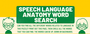 speech language anatomy