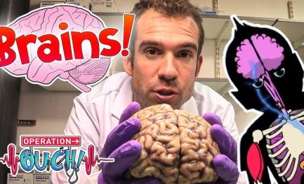 scientist with brain