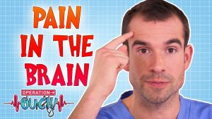 pain in the brain