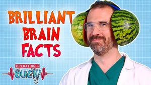 brilliant brain facts